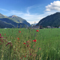 Herzensblick